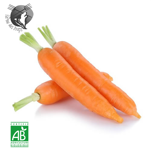 carottes_bio___3kg