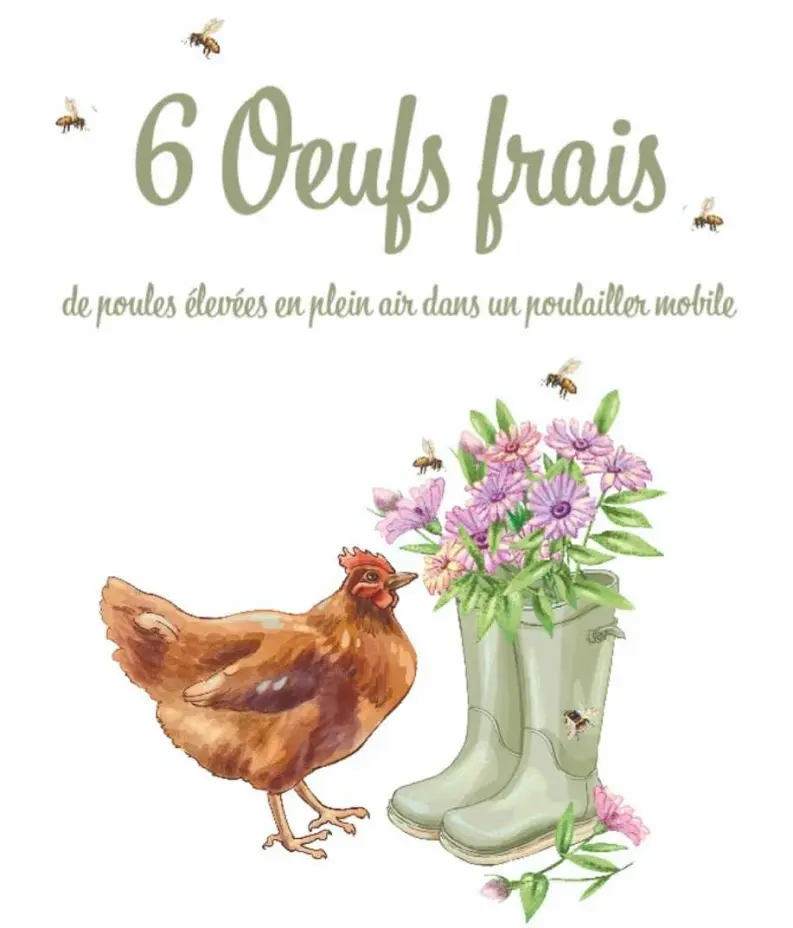 6 Œufs frais de la Ferme (Ce mercredi)